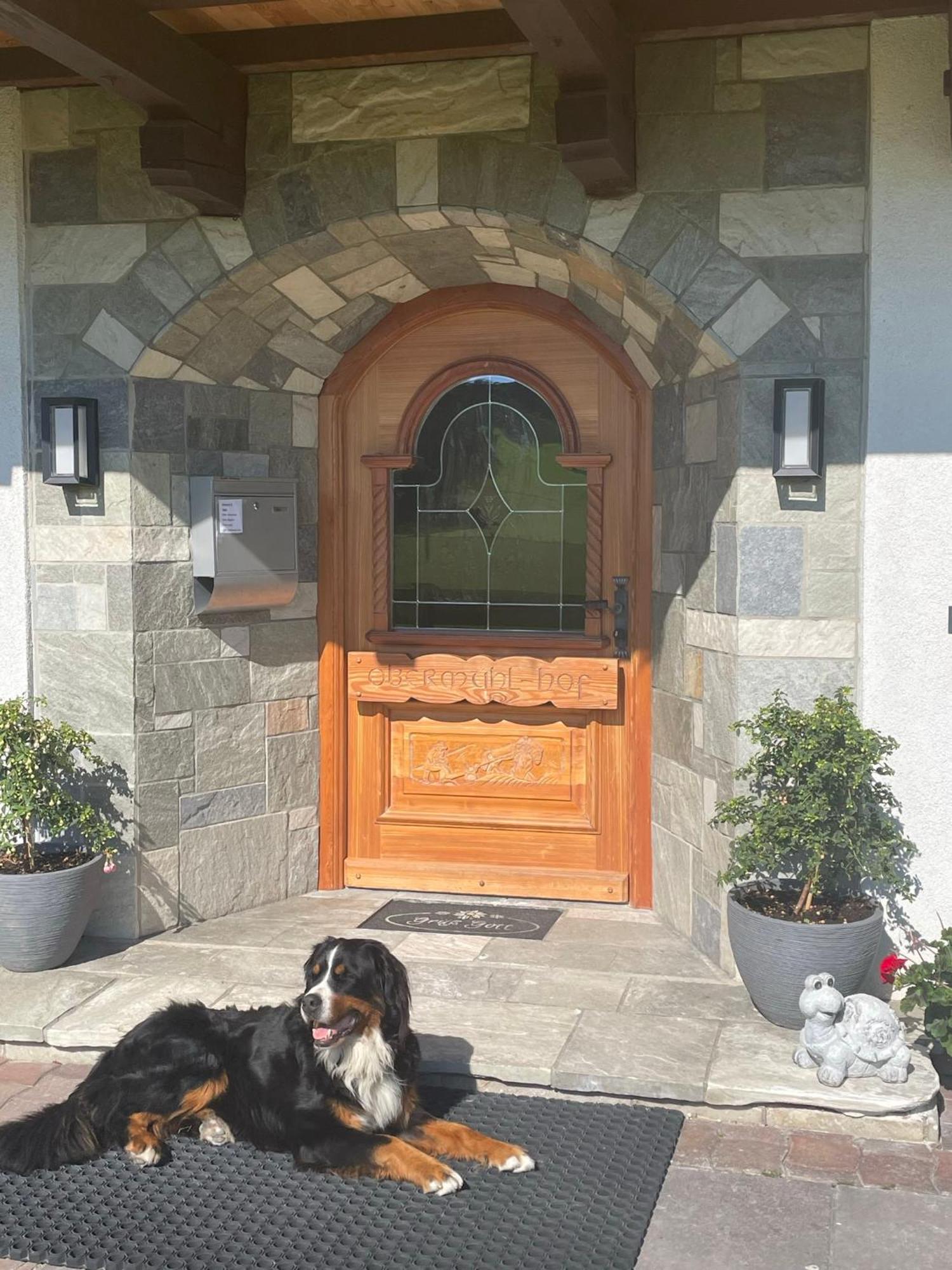 Obermuehlhof Apartment Saalfelden Bagian luar foto